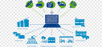 Digitally Edible World